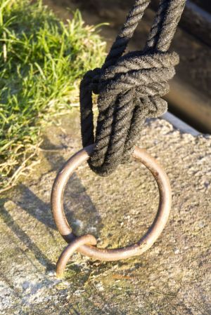 scholar green canal rope sm.jpg